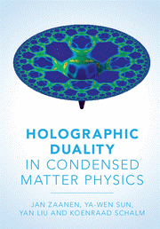 Holographic Duality boek Jan Zaanen