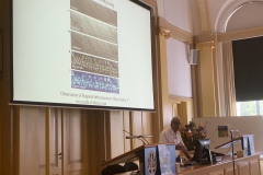 IMG_1320-copy